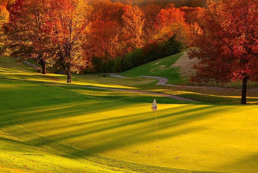 Remote golf carts - remote control golf bags