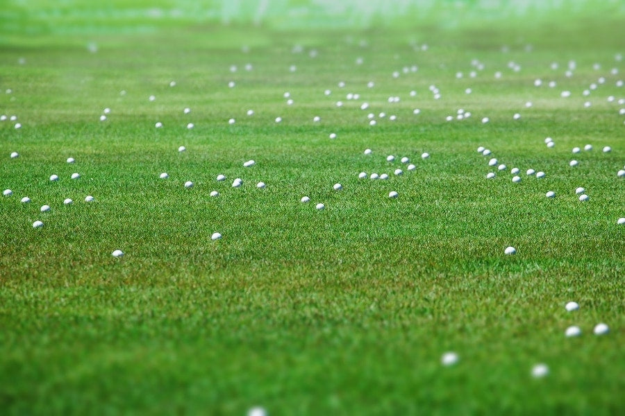 Practice at the Driving Range