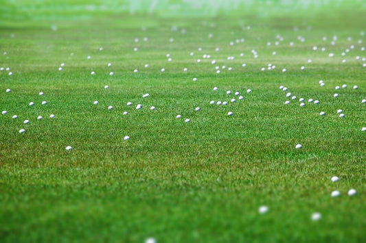 Practice at the Driving Range