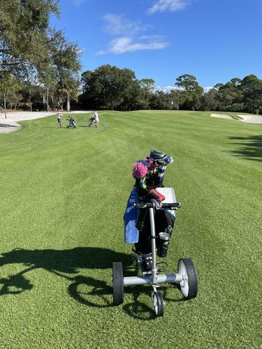 customer electric golf cart on fairway