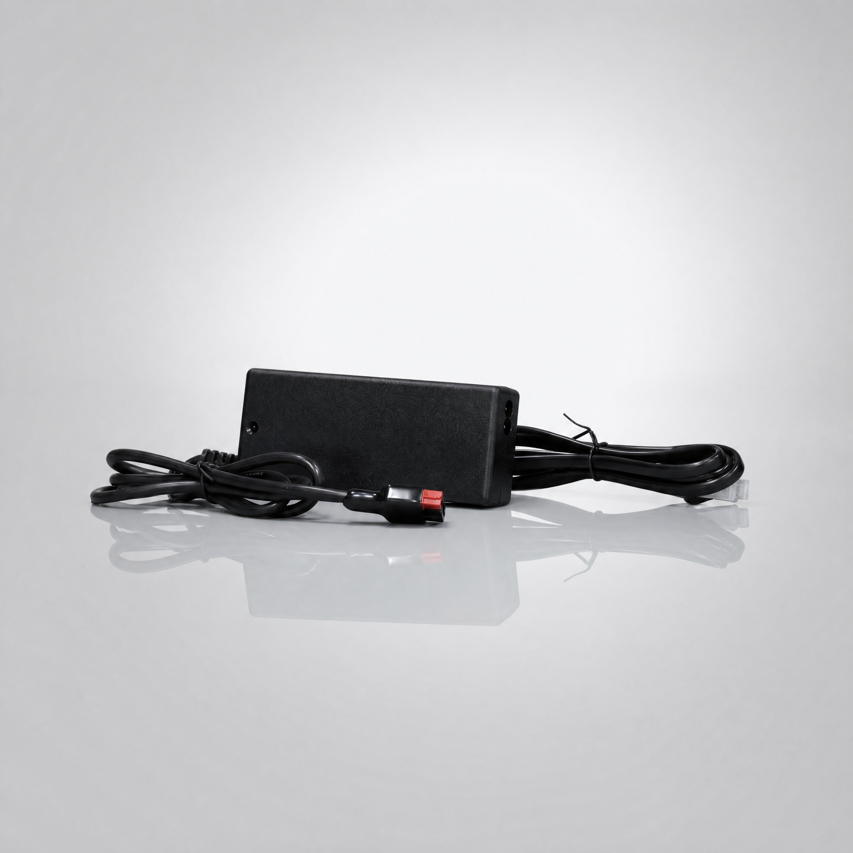 FORMULA battery charger